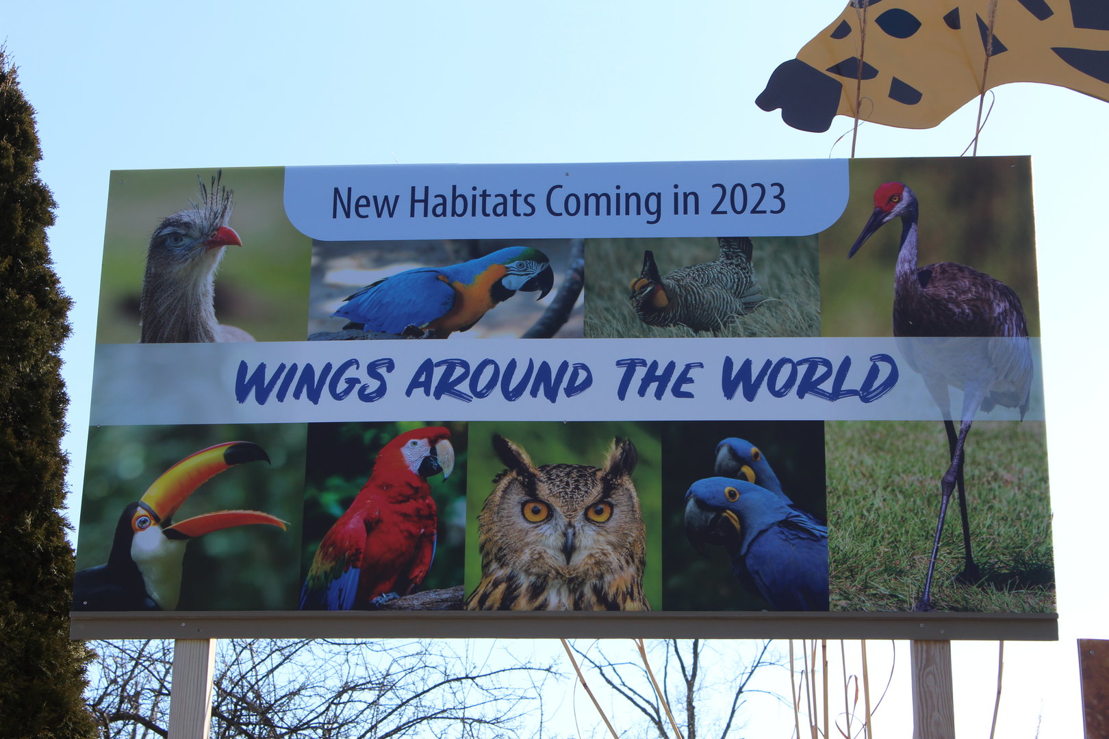 Sign about Upcoming Bird Exhibits