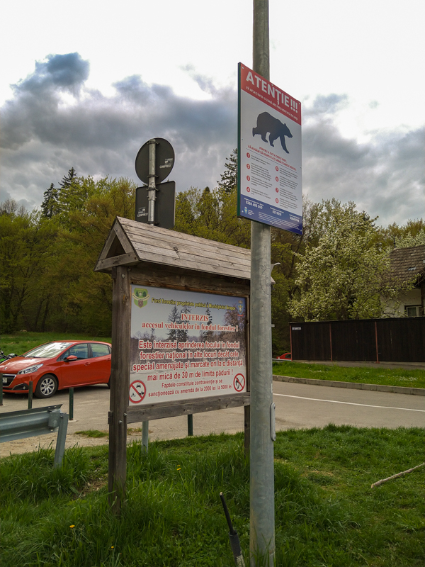 sign about wild bears