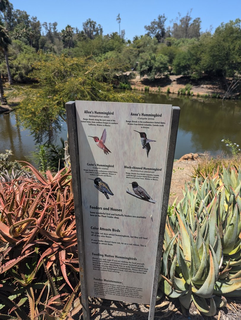 Sign About Wild Hummingbirds