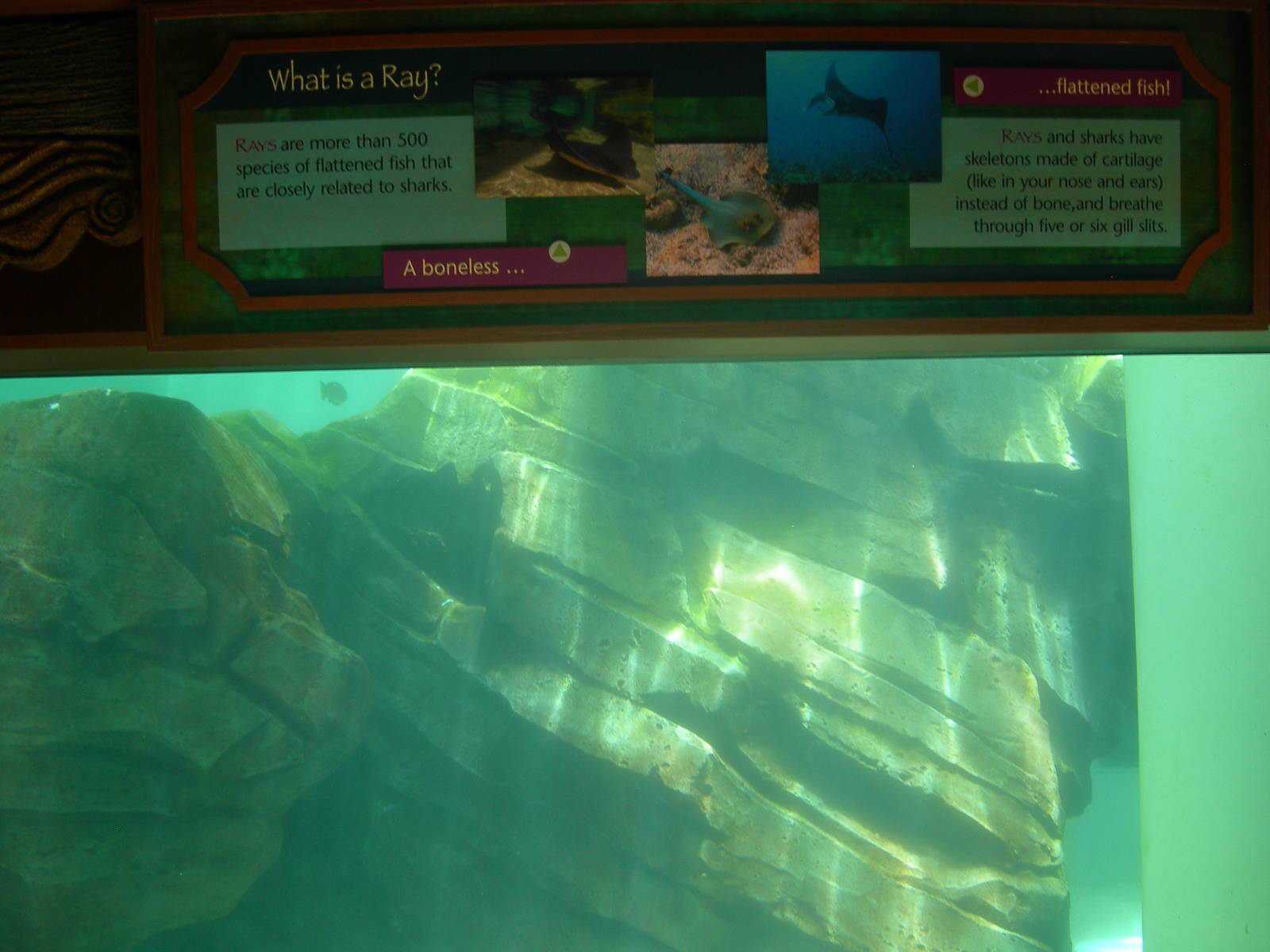 sign above aquarium