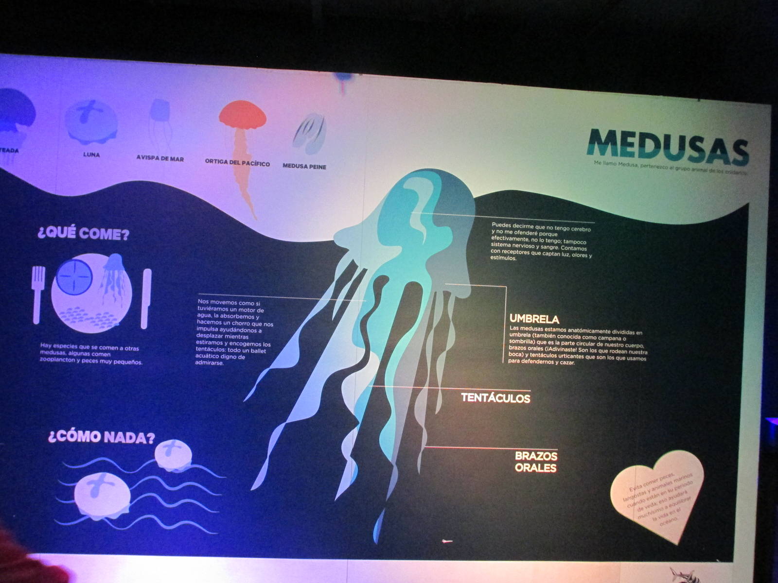 sign acuario inbursa