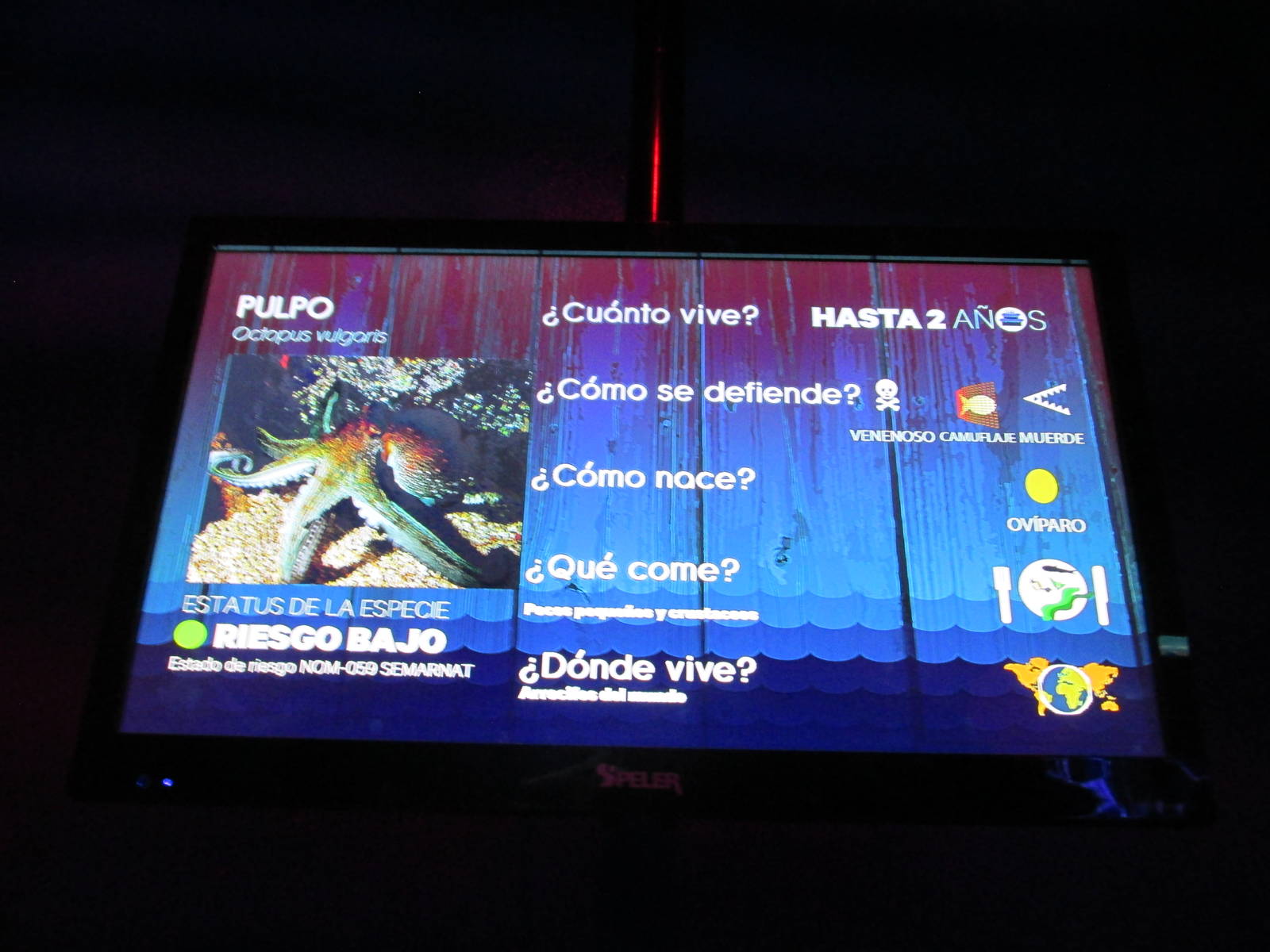 sign acuario inbursa