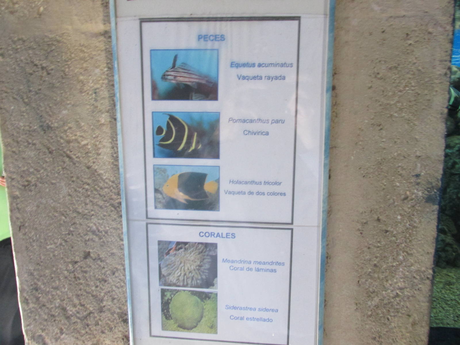 sign acuario nacional