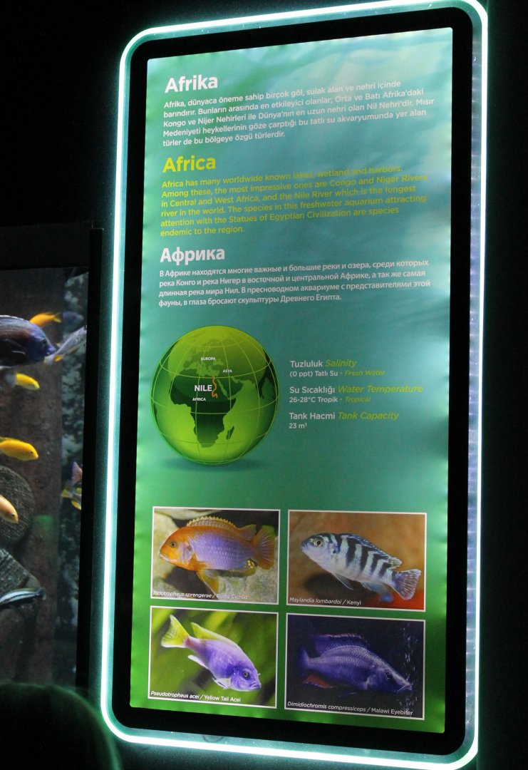 Sign Africa-aquarium