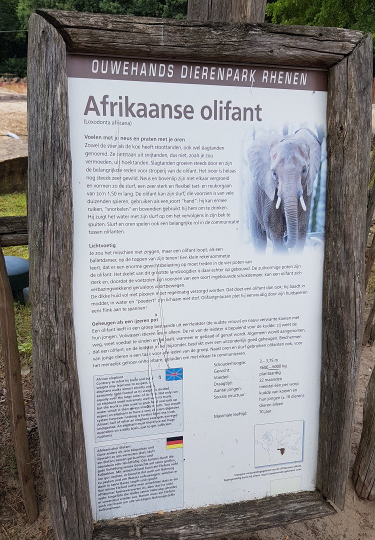 Sign African elephant