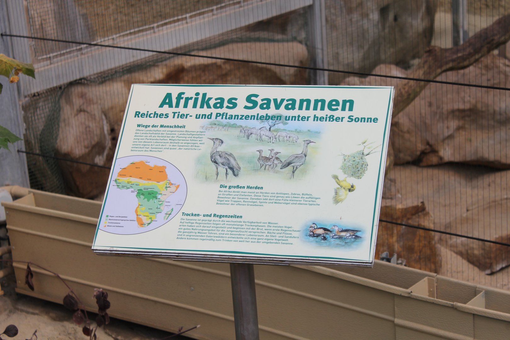 Sign African savanne-aviary