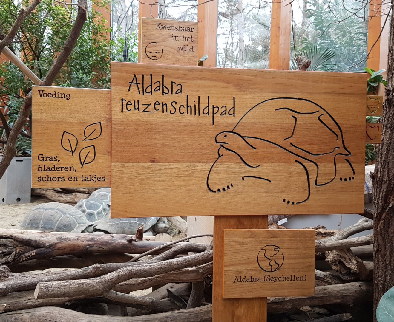Sign Aldabra giant tortoise