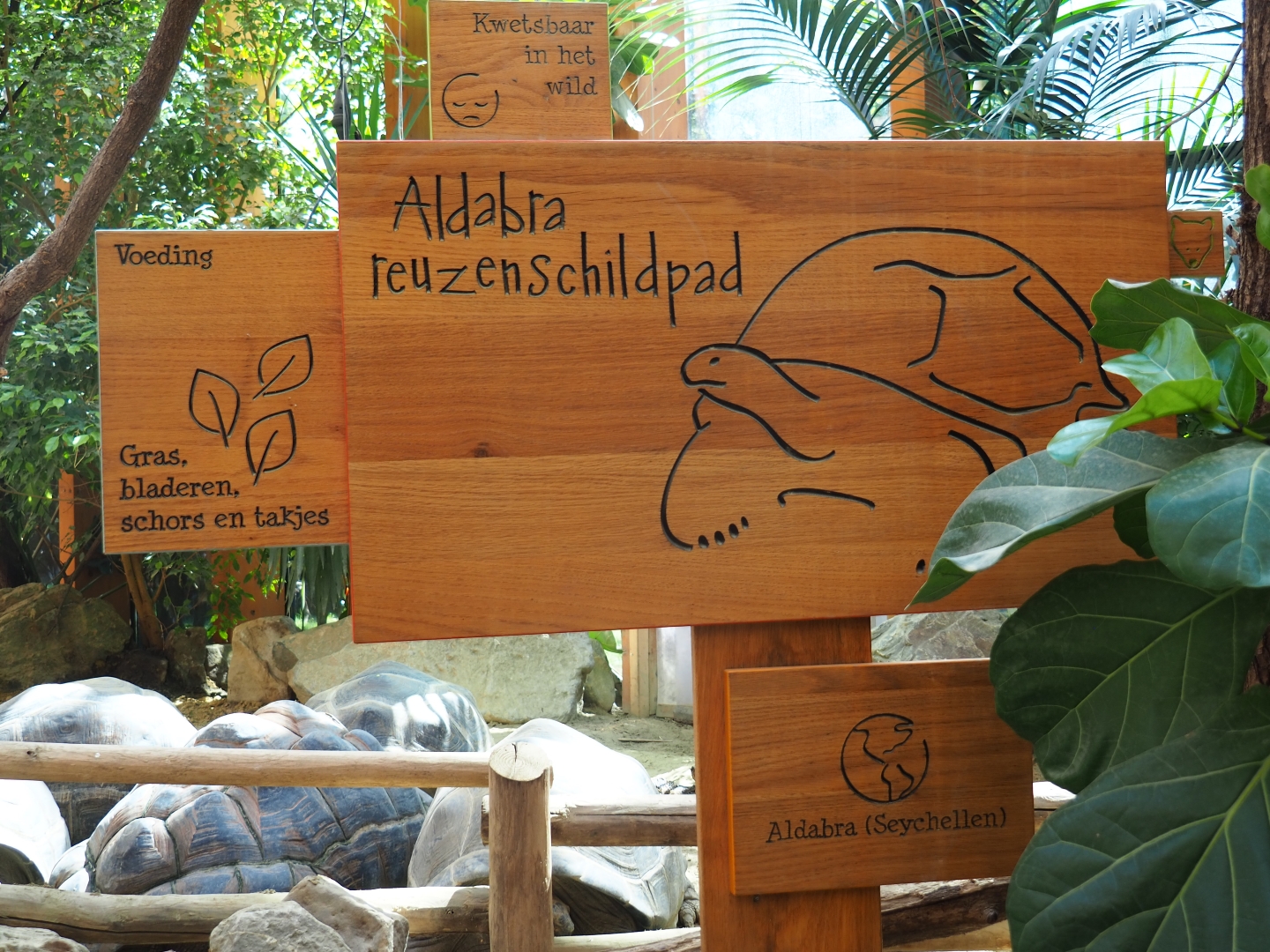 Sign Aldabra giant tortoise