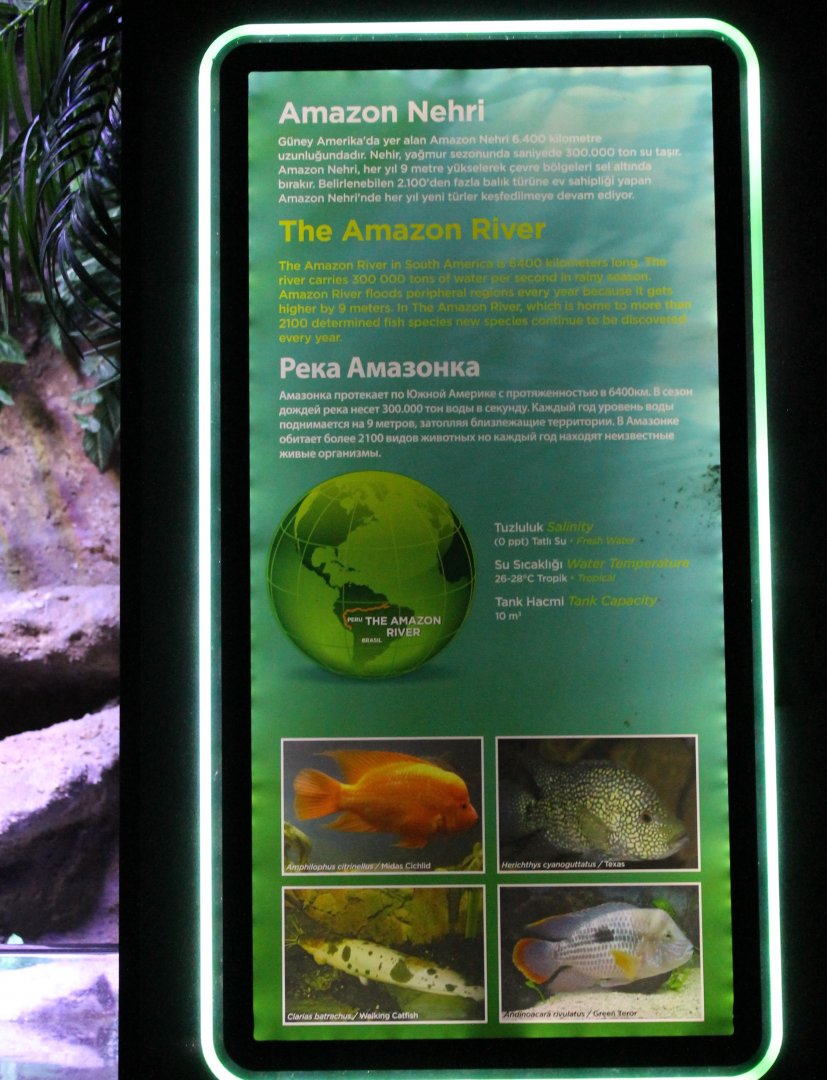 Sign Amazone-aquarium