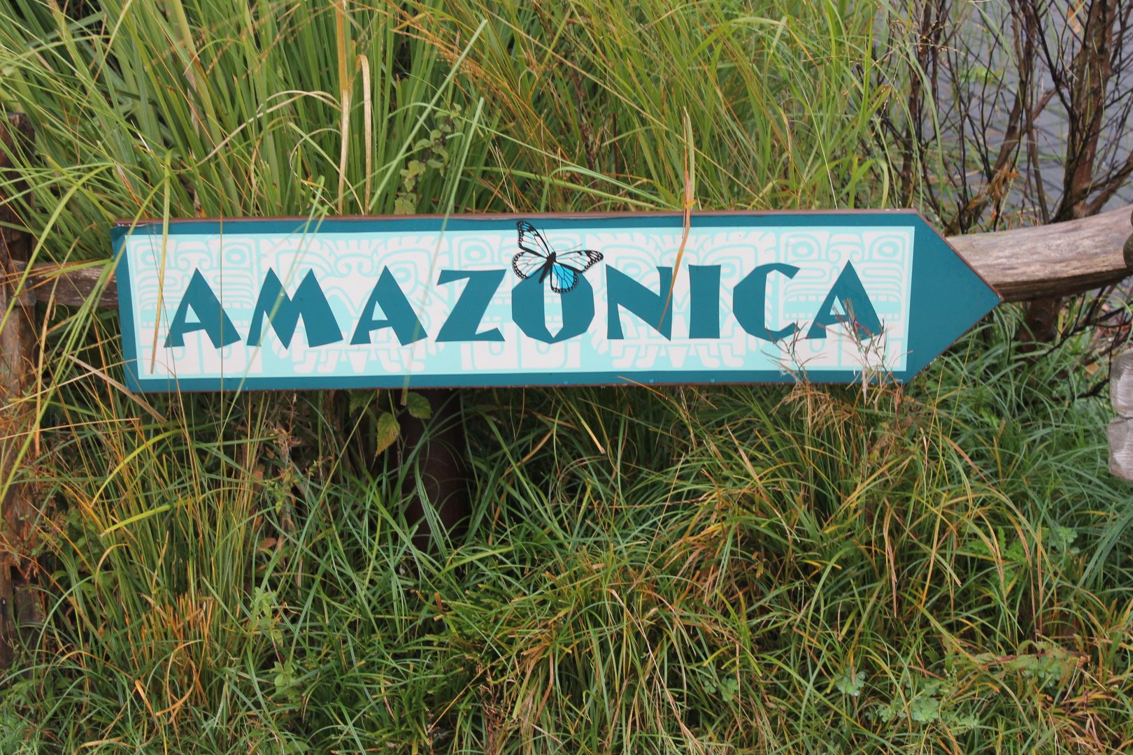 Sign Amazonica