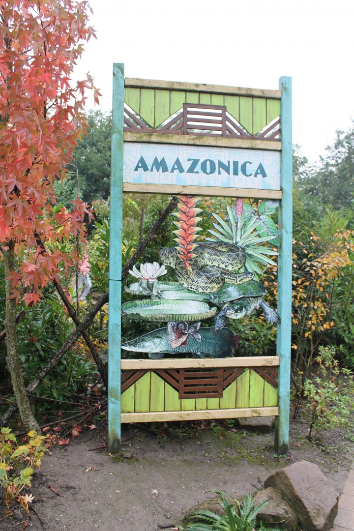 Sign Amazonica