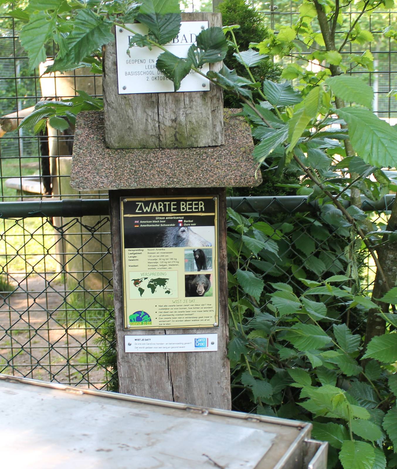 Sign American black bear