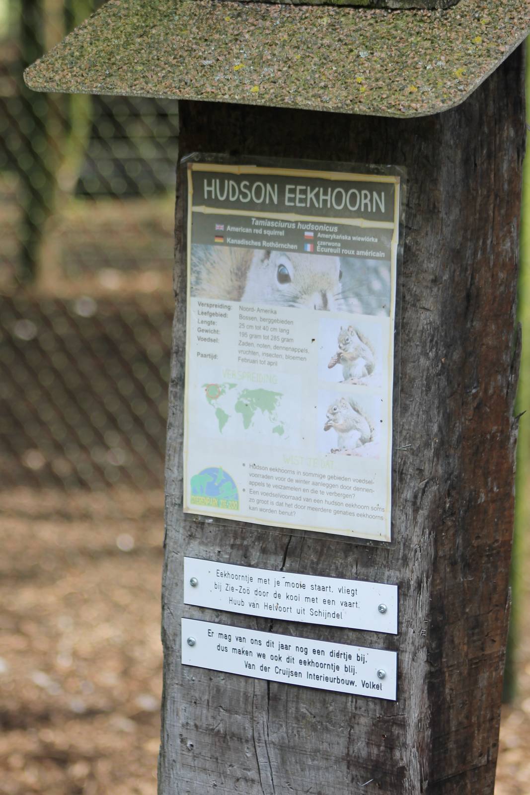 Sign American red squirrel