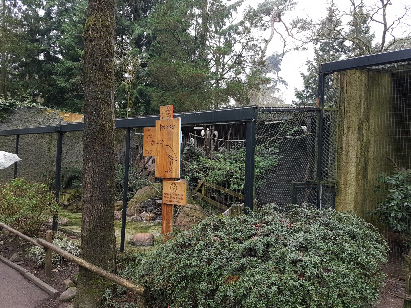 Sign and aviary Cattle egret