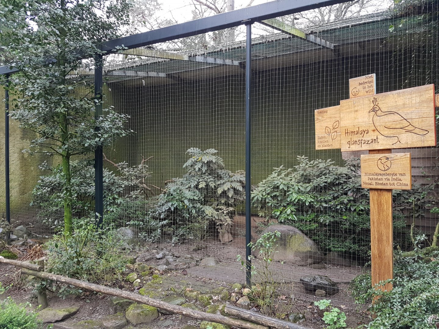Sign and aviary Monal