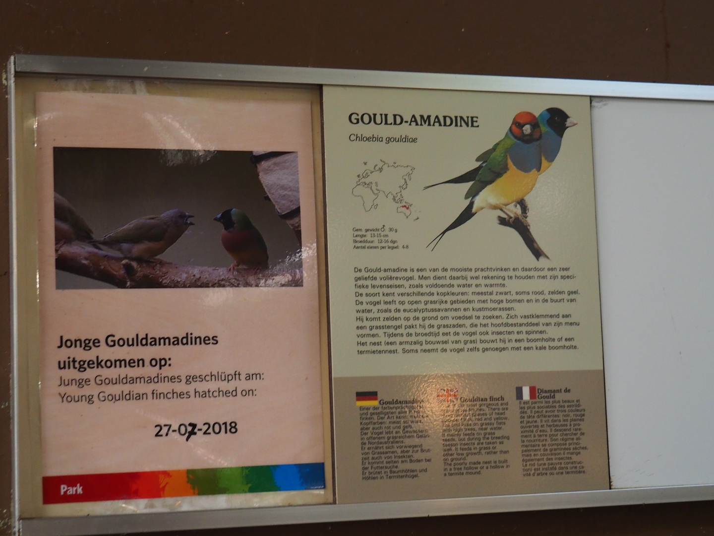 Sign and birth sign Gouldian finch (Sep 16th, 2018)