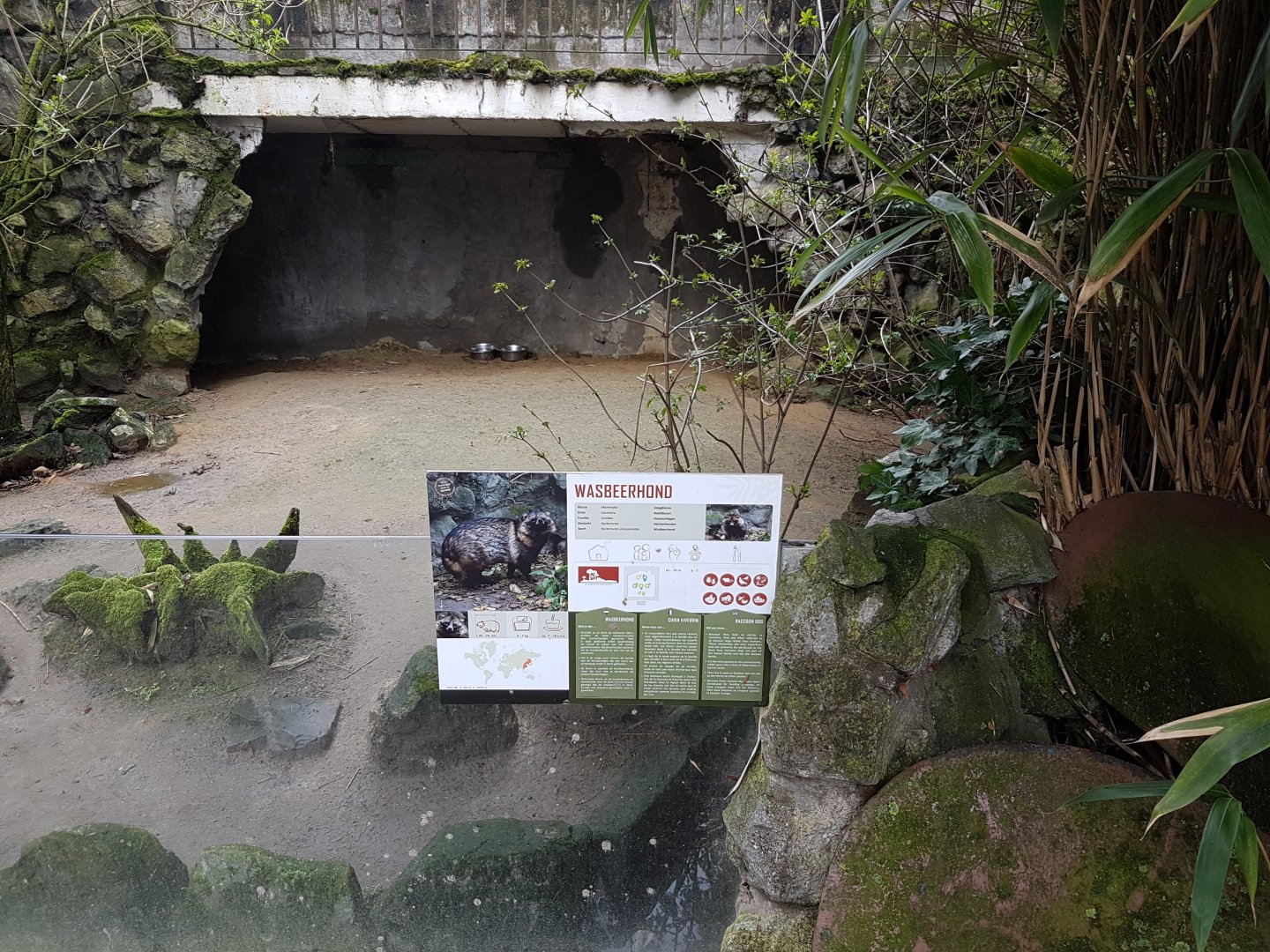Sign and enclosure Raccoon-dog