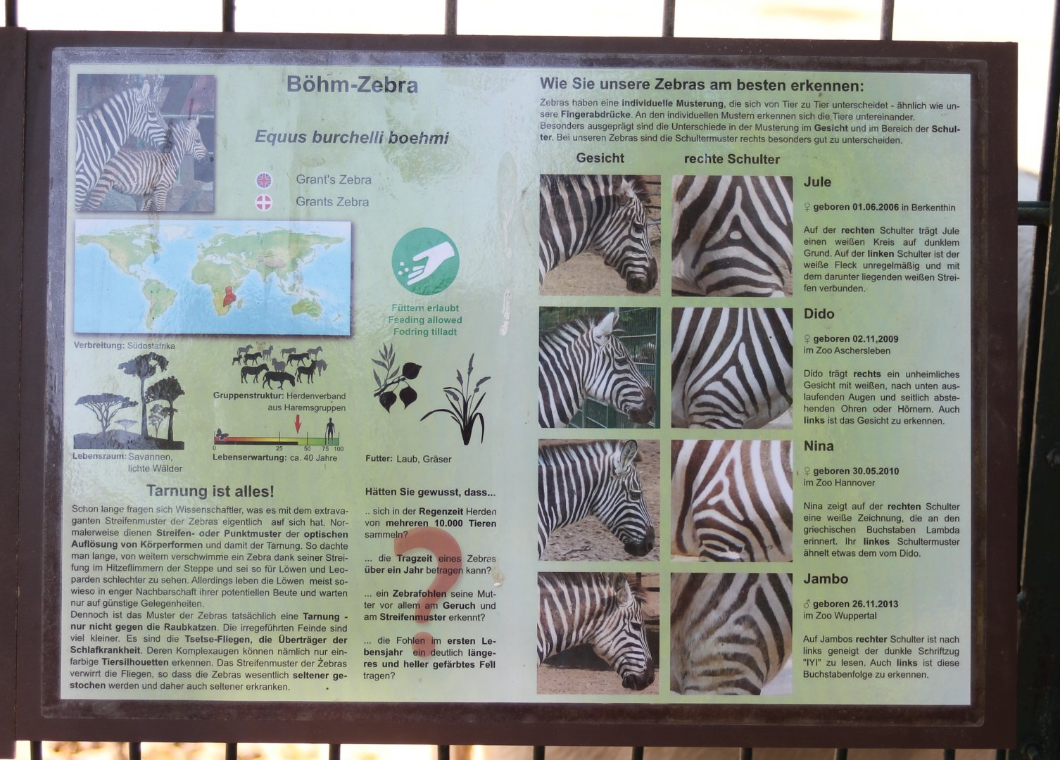 Sign and ID's Gettorfs Böhm zebras