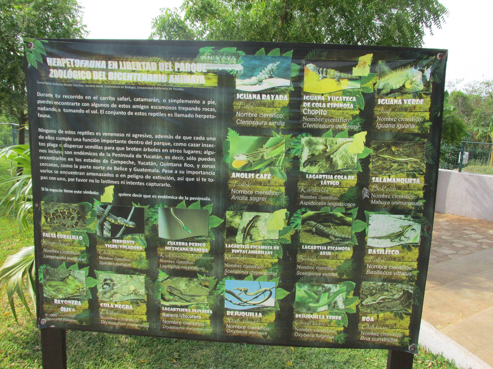 Sign Animaya free ranging herpetofauna