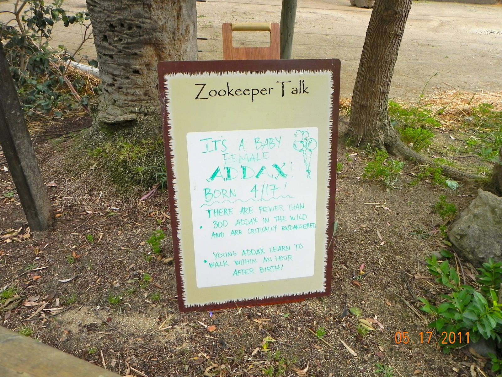 Sign announcing addax baby