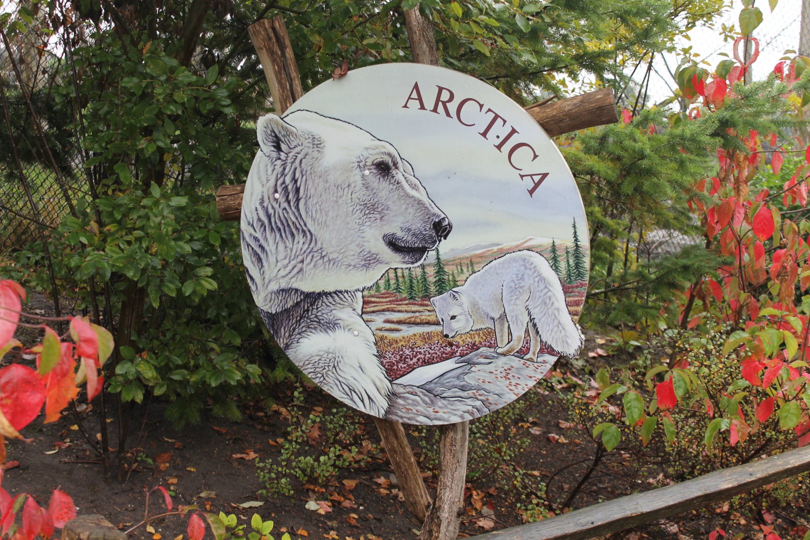 Sign Arctica