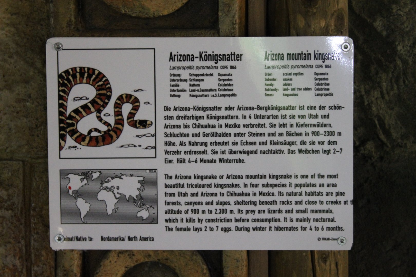 Sign Arizona mountain kingsnake