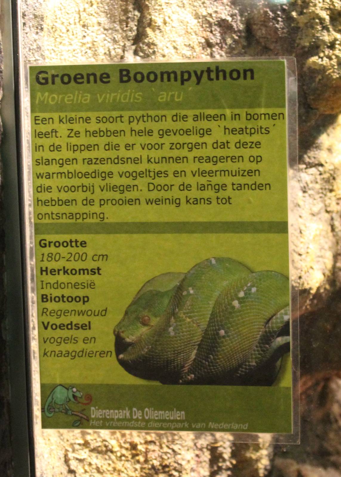 Sign Aru tree python