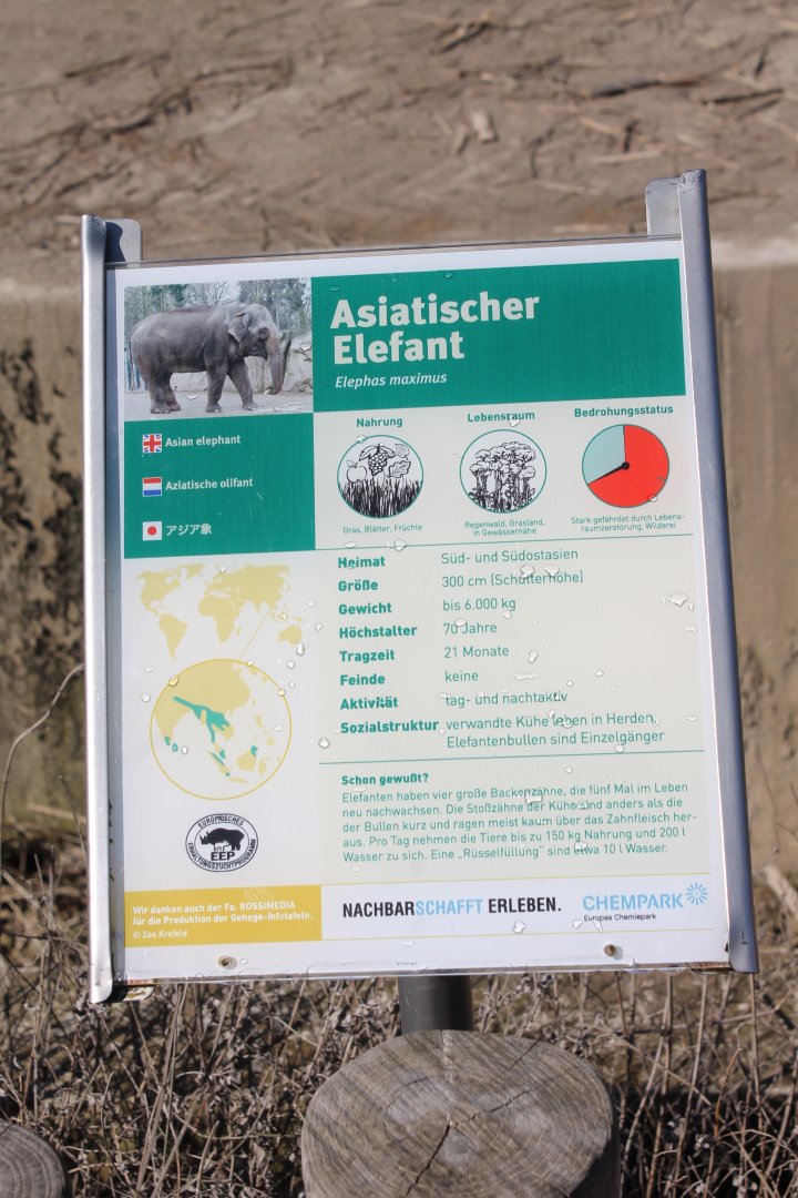 Sign Asian elephant