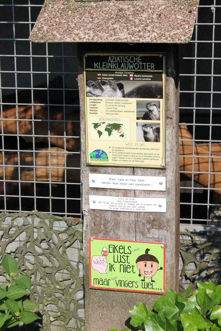Sign Asian small-clawed otter