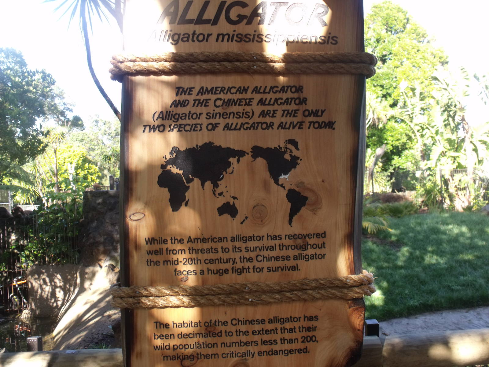 Sign at Auckland Zoos the tropics