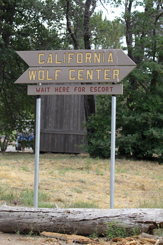 Sign at bottom of driveway