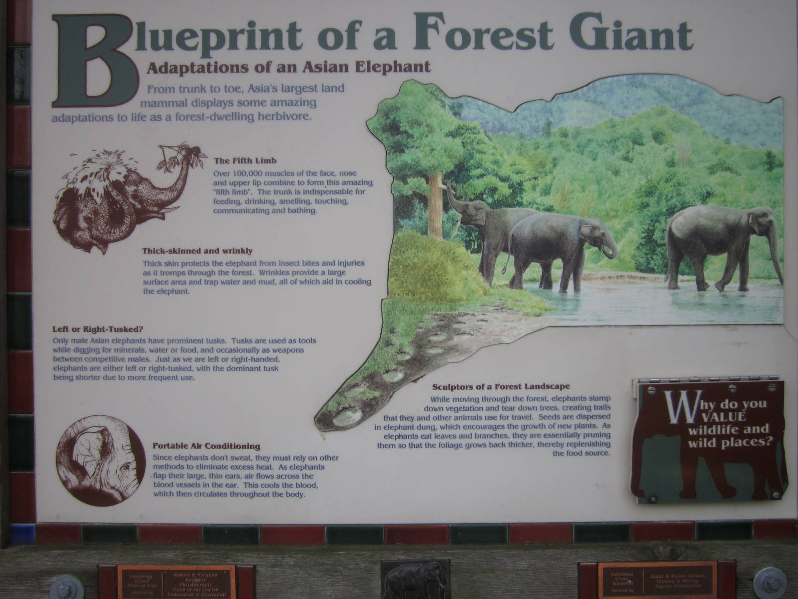 Sign at Elephant Reserve