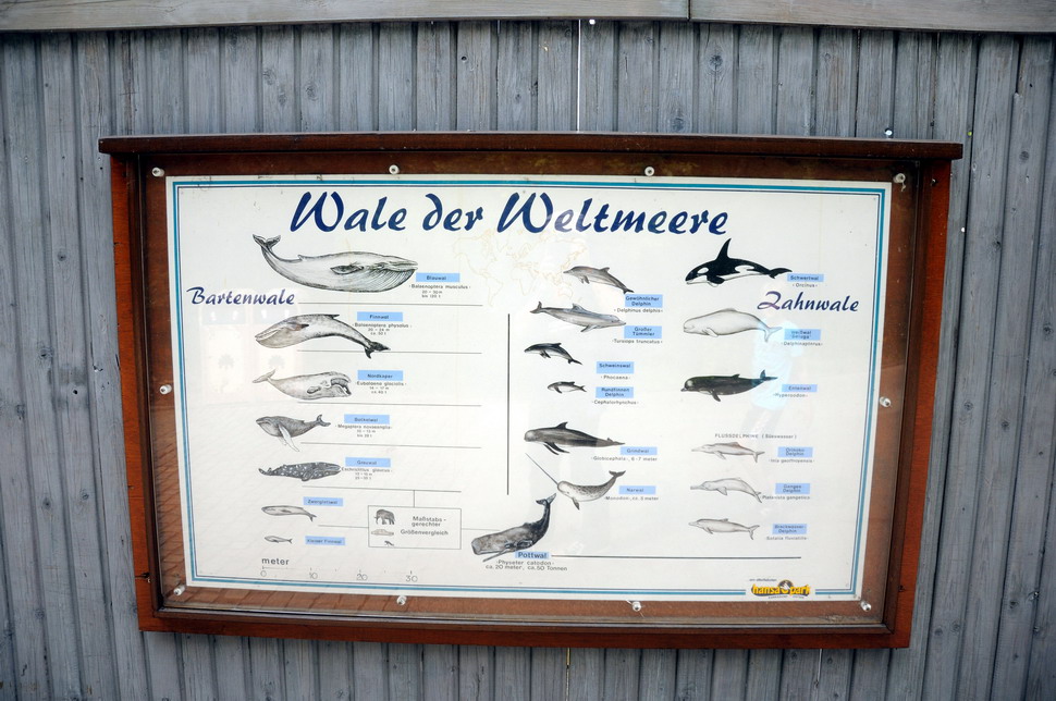 Sign at Hansa-Park Sierksdorf