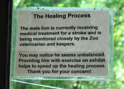 sign at lion exhibit