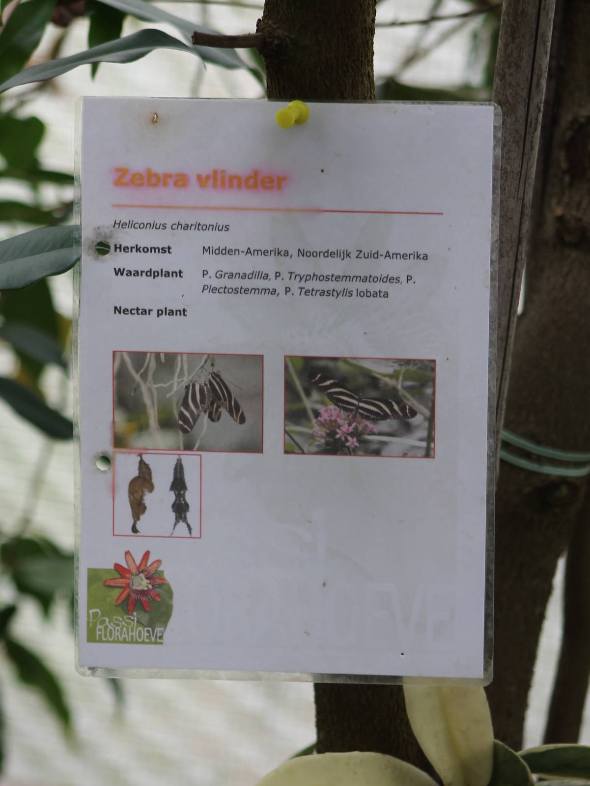 Sign at Passiflorahoeve