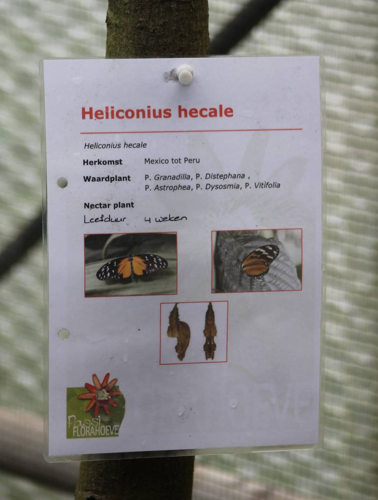 Sign at the Passiflorahoeve