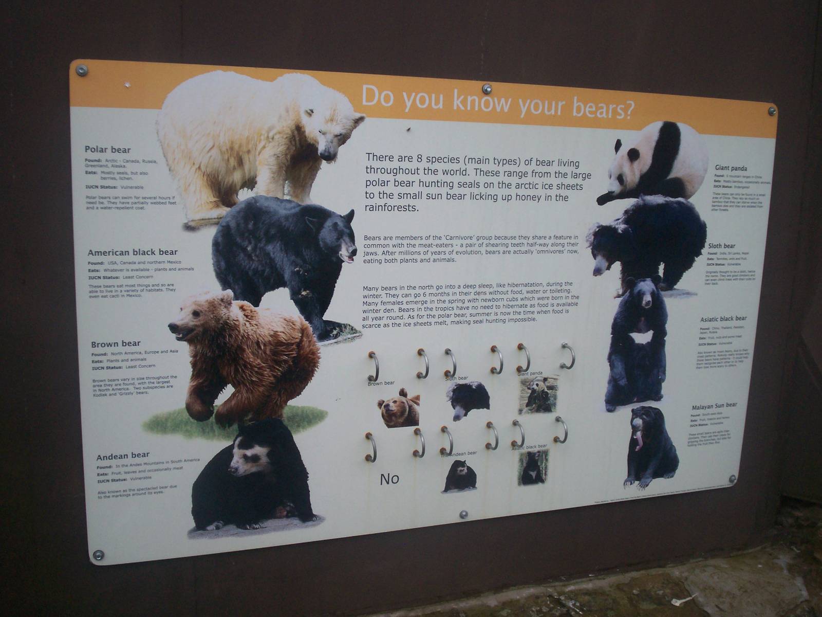 Sign at the sun bear enclosure