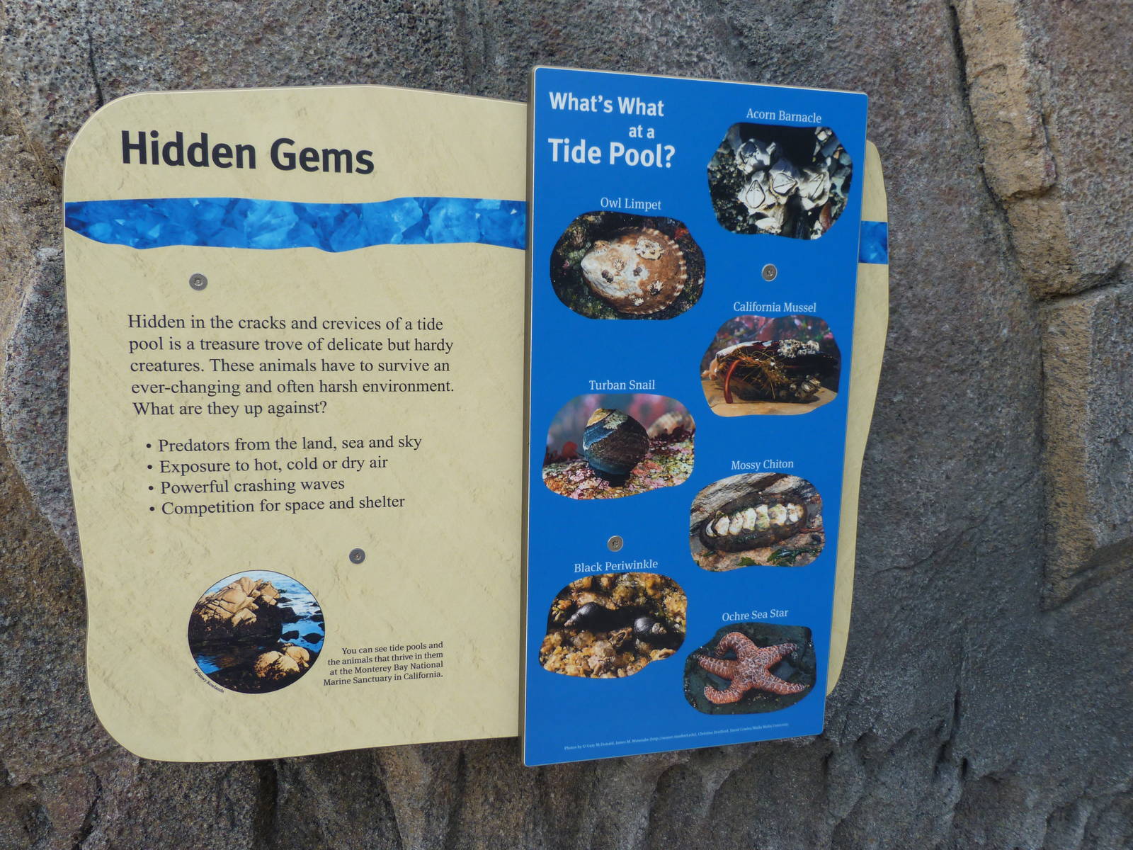 Sign at Wading Pool (American Trails)