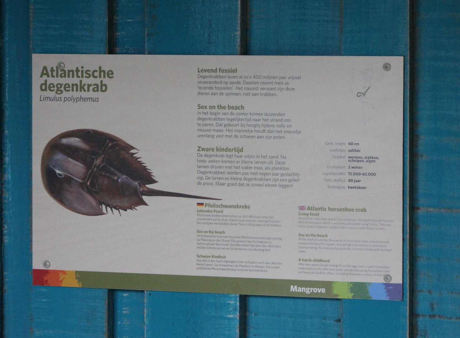 Sign Atlantic horseshoe crab