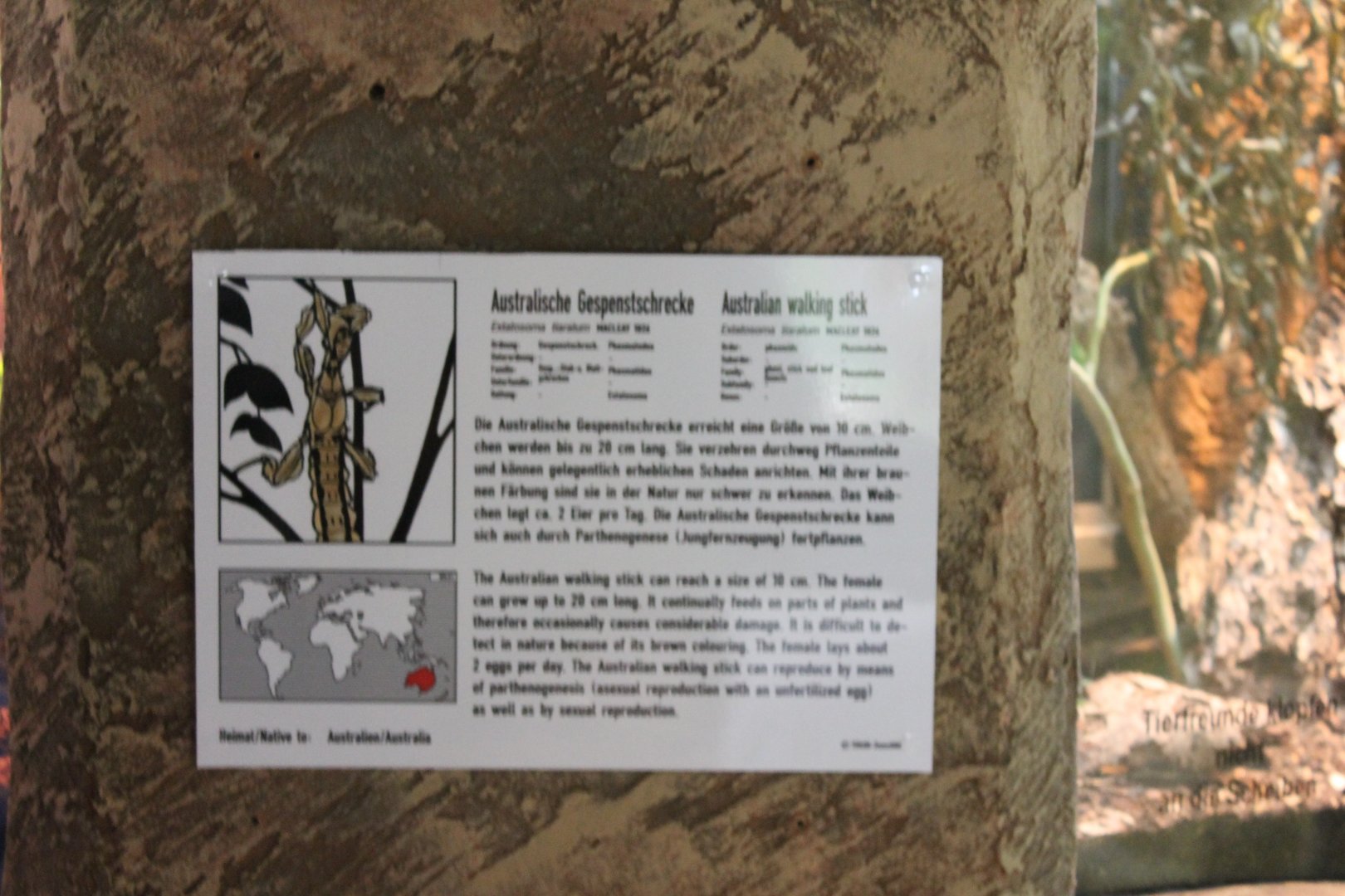 Sign Australian walking stick