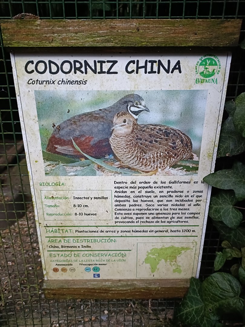 Sign - Avifauna lugo