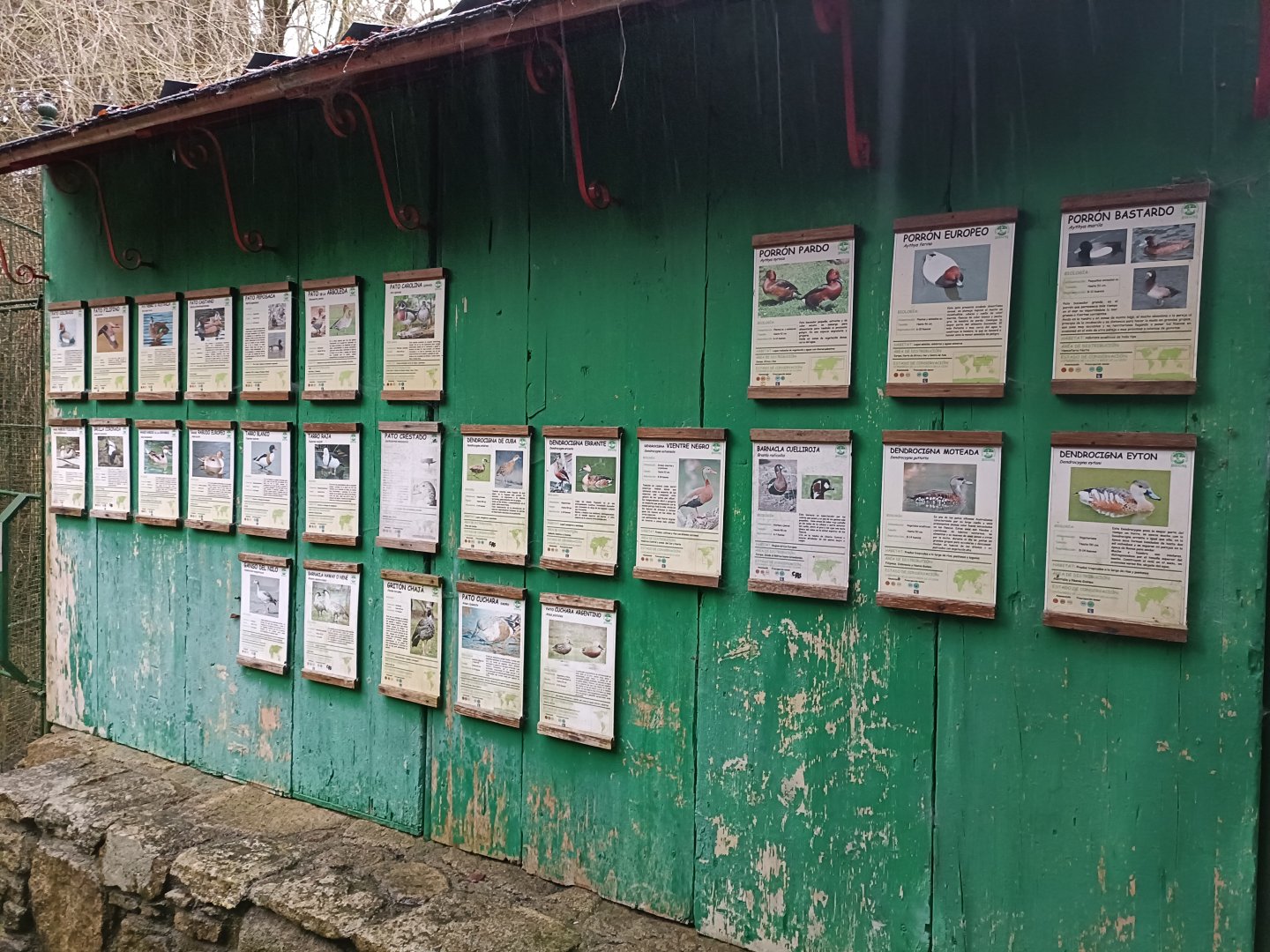 Sign - Avifauna lugo