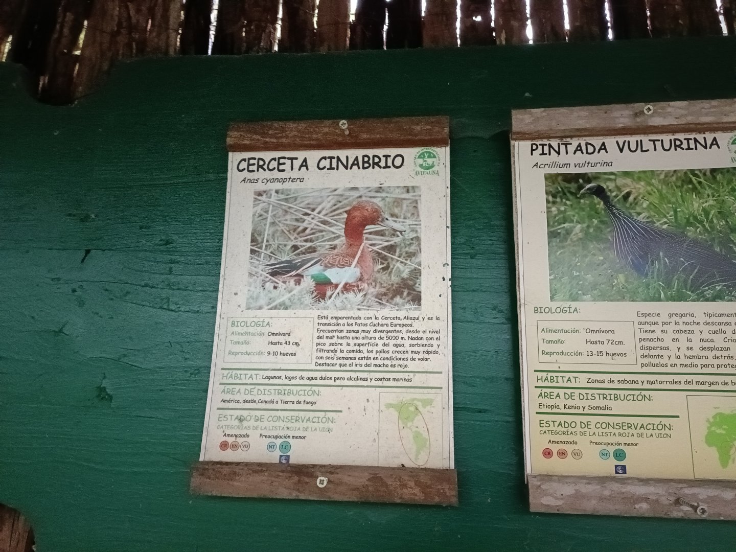 Sign - Avifauna Lugo