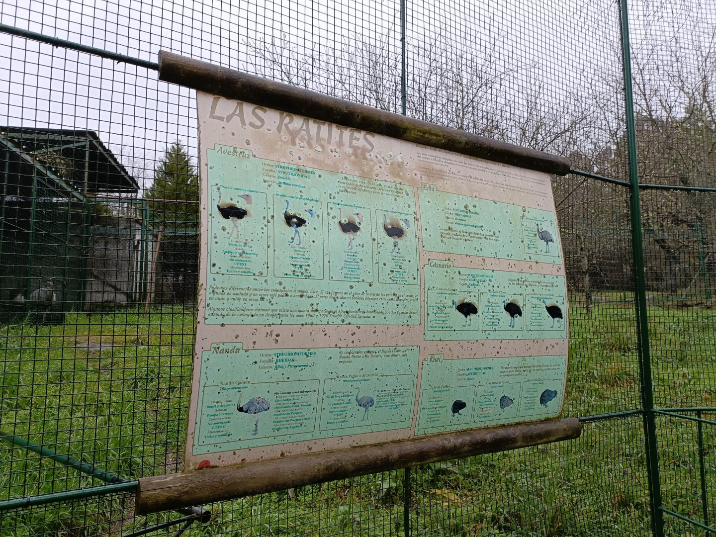 Sign - Avifauna Lugo