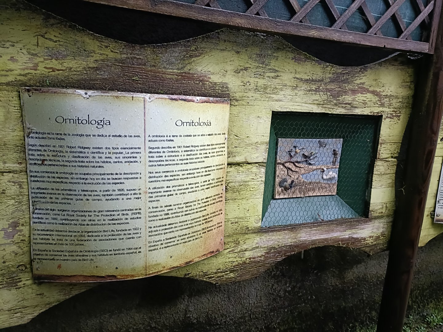 Sign - Avifauna Lugo