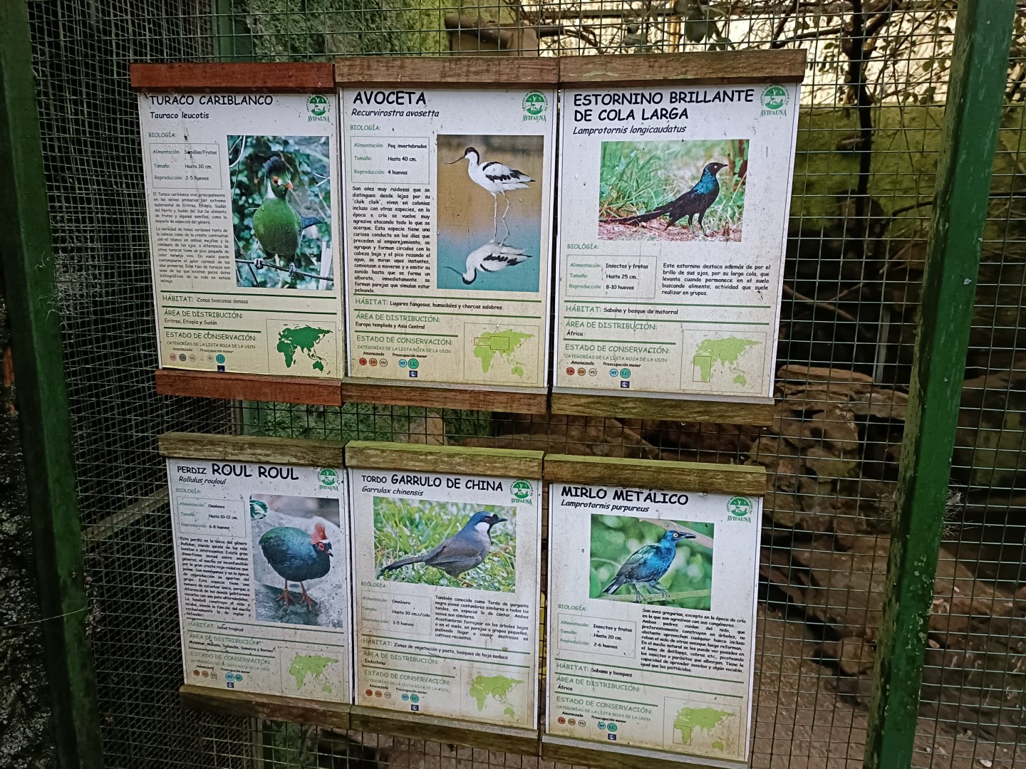 Sign - Avifauna Lugo