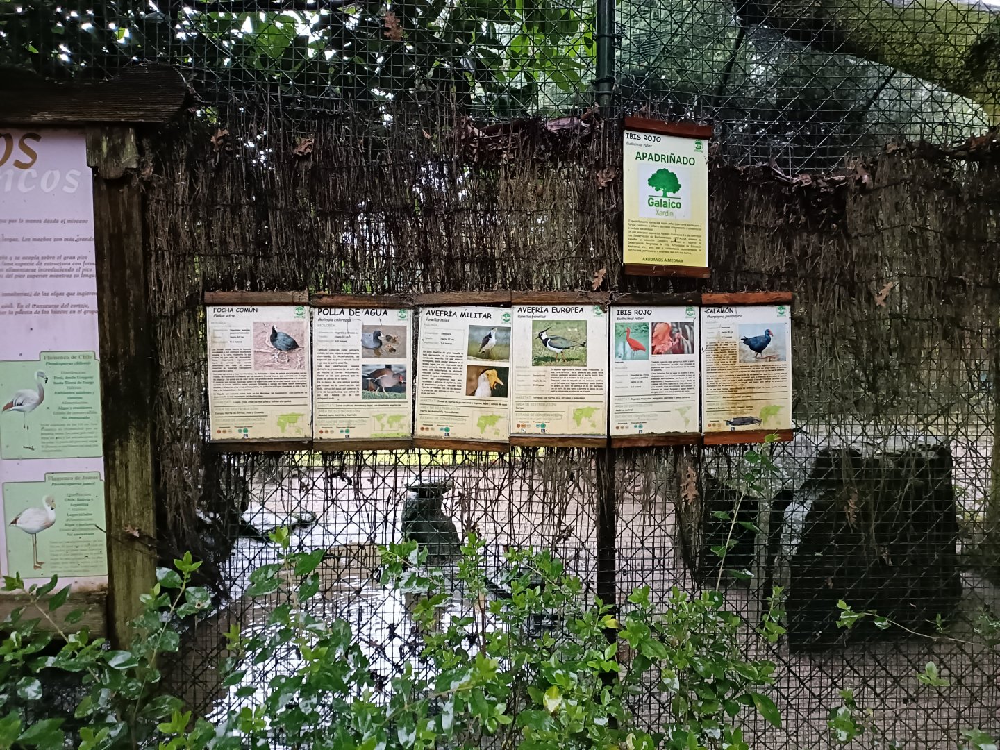 Sign - Avifauna Lugo