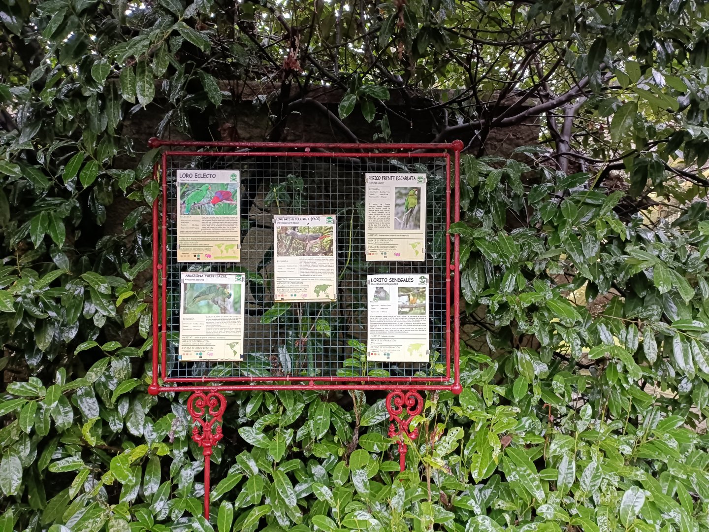 Sign - Avifauna Lugo