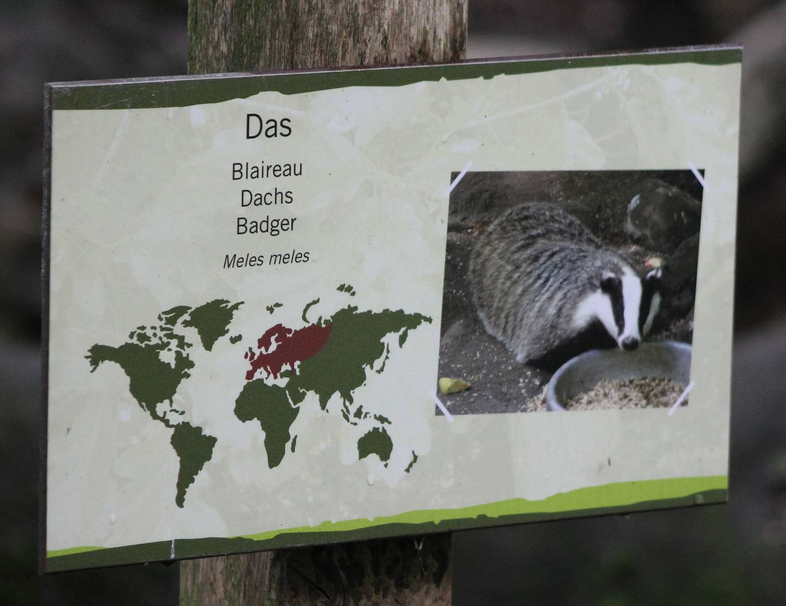 Sign Badger