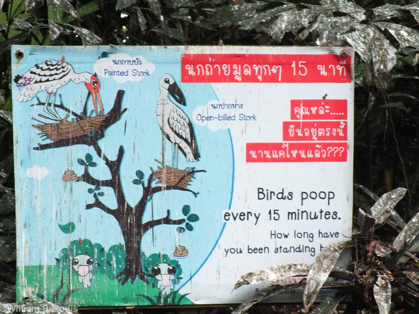 Sign Below Wild Stork Colony